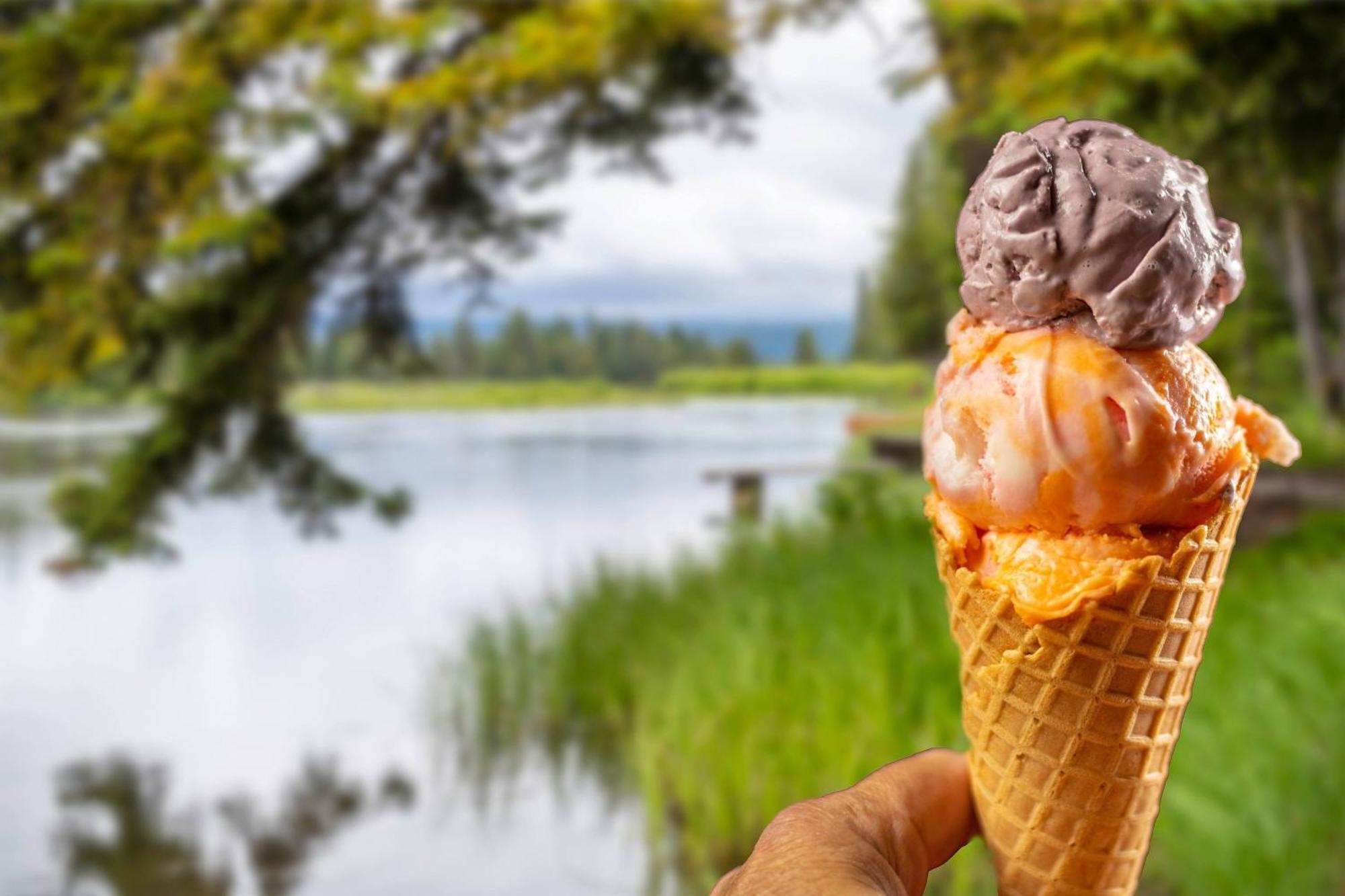 Springhill Suites Island Park Yellowstone Eksteriør billede